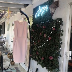 Calvin Klein business dress pink size 2